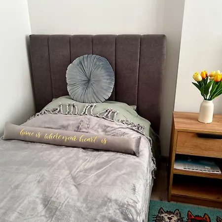 еко дрийм за гости в * 苏曼