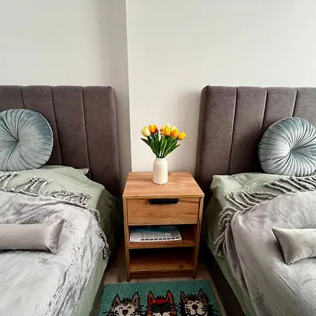 еко дрийм за гости в *