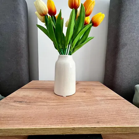 еко дрийм за гости в 公寓 苏曼